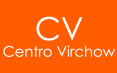 logo virchow
